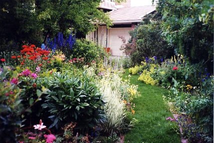 A transformed front yard